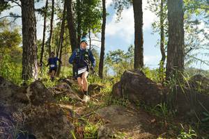 BIB: 
                            <button type="button" onclick="openModal(18915220)" class="btn btn-primary btn-sm float-right btn-popup" data-toggle="modal" data-target=".modal-high-quality">
                        <i class="fas fa-shopping-cart"></i> Add to Cart
                    </button>
                                            <button type="button" onclick="isThisMe(18915220, true)" class="btn btn-success btn-sm float-right btn-popup btn-isme hidden" data-toggle="tooltip" data-placement="bottom" title="นี่คือรูปของคุณใช่ไหม คลิกที่นี่เพื่อเอาเข้าอัลบั้ม">
                        <i class="fas fa-plus"></i> Add to album
                    </button>
                    <button type="button" onclick="isThisMe(18915220, false)" class="btn btn-warning btn-sm float-right btn-popup btn-isnotme hidden">
                        <i class="fas fa-ban"></i> Remove from album
                    </button>